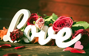 white Love cutout decor, heart, flowers, typography, love HD wallpaper