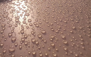 water drops HD wallpaper
