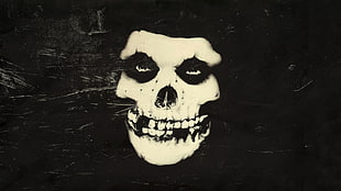 white human skull graphic wallpaper, Misfits, rock bands, skull, music HD wallpaper
