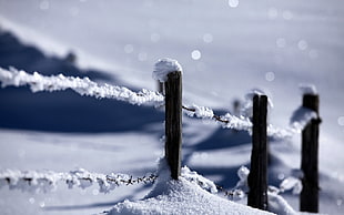 Stakes,  Snow,  Protection,  Wire