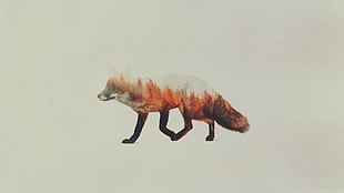 brown 4-legged animal on white background HD wallpaper