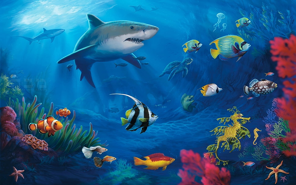 gray shark illustration HD wallpaper