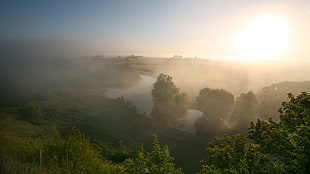 green leaf trees, landscape, field, river, mist