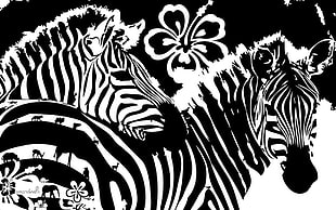 two black-and-white Zebra illustration HD wallpaper