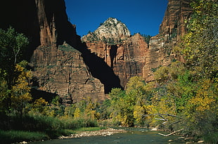 Rocks,  Stones,  Mountain river,  Trees