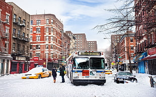 man and woman standing beside bus and taxi during winter season in between high rise buildings HD wallpaper