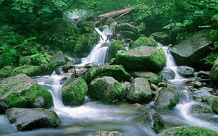 landscape photo of water falls HD wallpaper