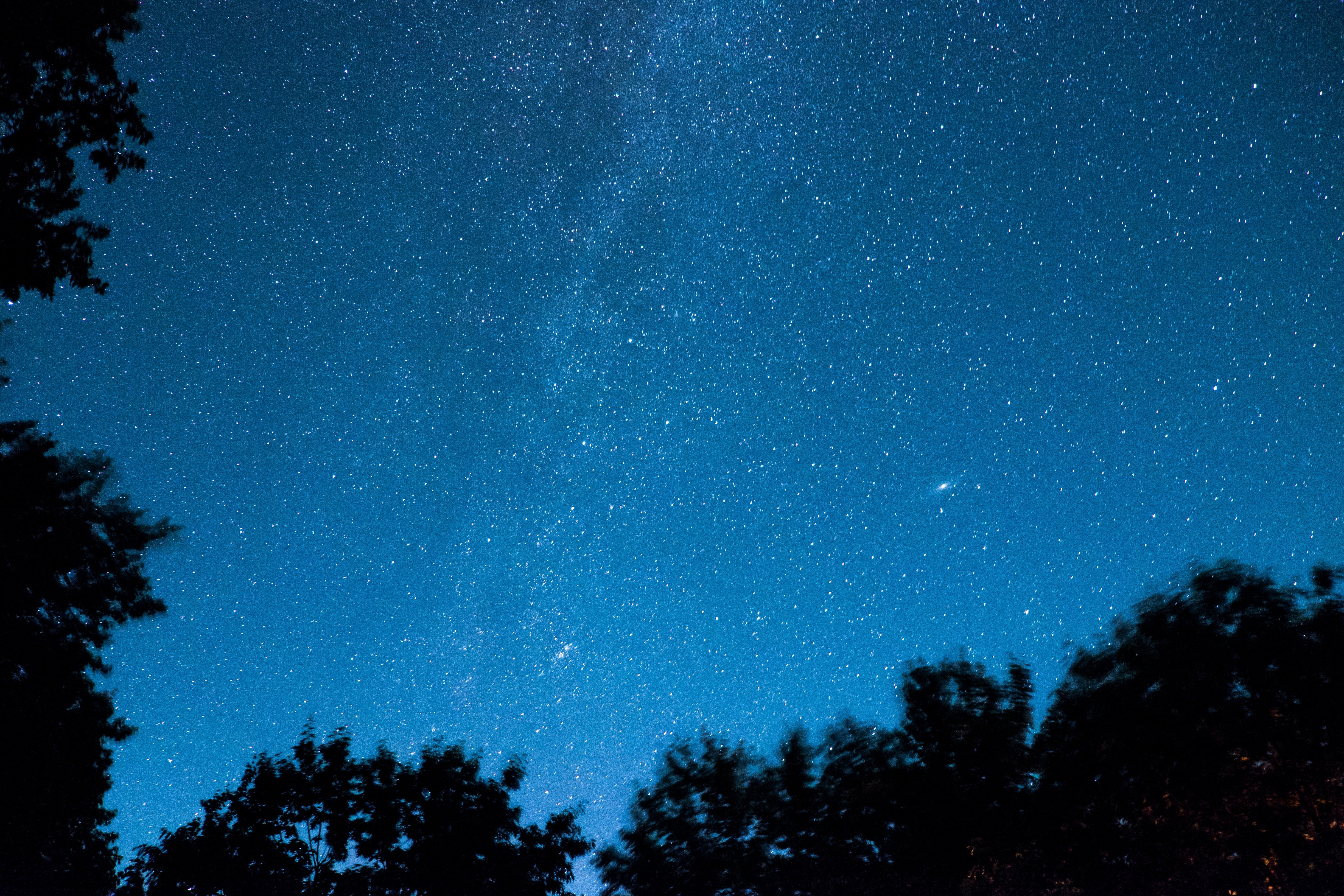 blue sky, Starry sky, Trees, Stars