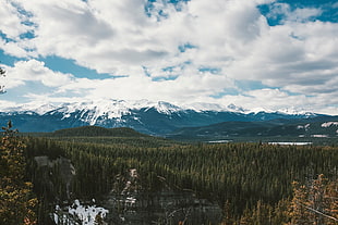 Banff National Park, Mountains, Trees, Distance