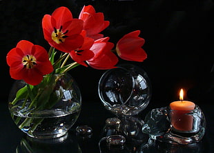 red Tulip flowers beside lighted candle HD wallpaper