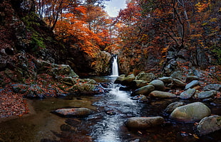 timelapse photography of water fall in the middle of trees during daytime HD wallpaper