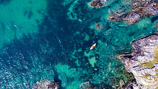 white boat on body of water during daytime HD wallpaper