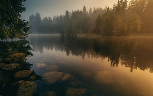 gray stones, nature, landscape, river, calm