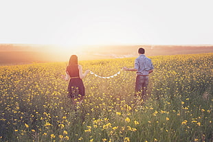 man and woman in clothing standing on yellow flower field during daytime HD wallpaper
