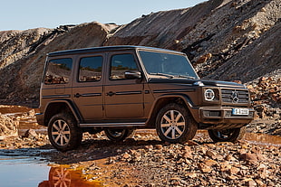 gray Mercedes-Benz G wagon