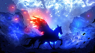 silhouette of pegasus walking on land digital wallpaper