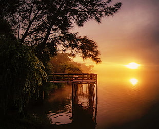 brown wooden ocean dock near green leafed trees during orange sunset lowlight photography, river, pier, landscape, nature