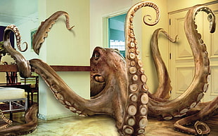brown octopus painting, digital art, octopus HD wallpaper