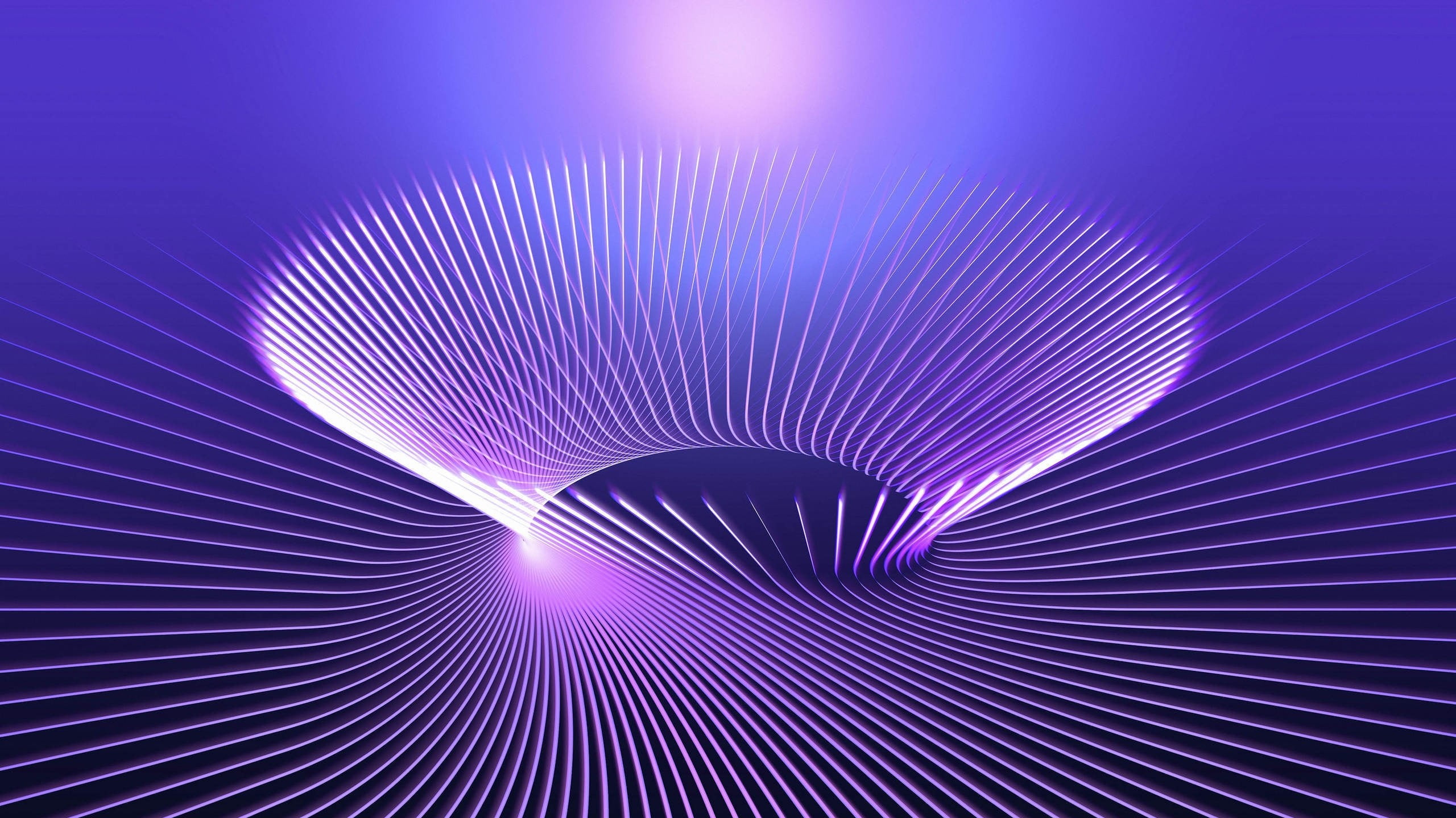 spiral white digital wallpaper, lines, abstract, 3D Abstract, purple