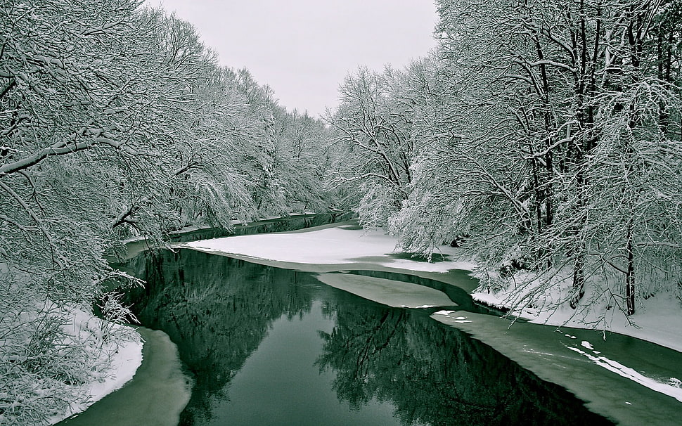 body of water, trees, river, nature HD wallpaper