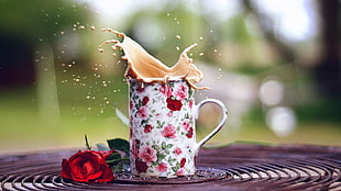 white, red, and pink floral ceramic mug, rose, flowers, cup, coffee