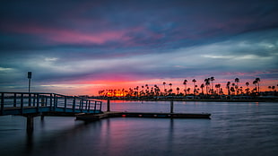 body of water and bridge