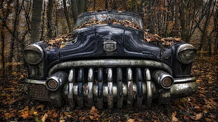 vintage blue car, leaves, car, vehicle HD wallpaper