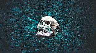 white skull painting, skull, pattern, abstract, simple background