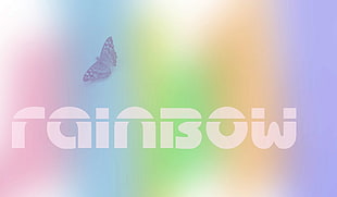 Rainbow logo HD wallpaper