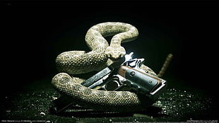 gray semi automatic pistol and gray snake, Hitman: Absolution, PC gaming, gun HD wallpaper