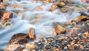 close up photo of time-laps running water