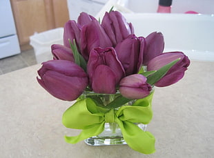 purple tulip bouquet HD wallpaper