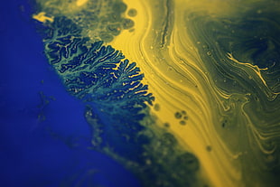 Digital paint, Fractal, Yellow, Blue HD wallpaper