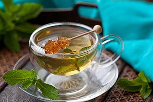 herb liquid in glass cup on glass saucer