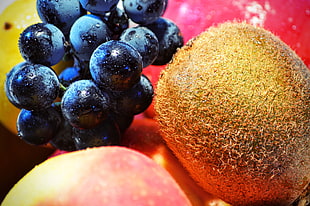 Kiwi,  Grapes,  Fruit HD wallpaper