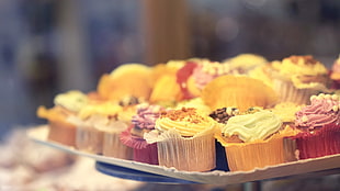 tilt shift lens photography of cupcakes HD wallpaper