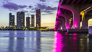 body of water under bridge, architecture, building, cityscape, skyscraper