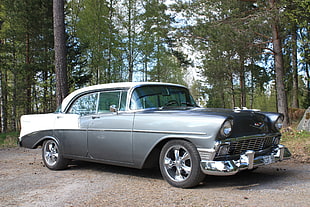 gray and white Chevrolet Bel Air parked on soil pavement surrounded by trees HD wallpaper