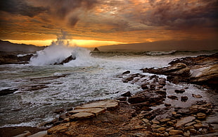 brown rocks, nature, landscape, sea, coast