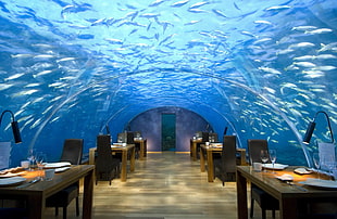 empty underwater restaurant during daytime HD wallpaper