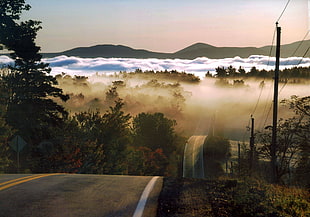 gray concrete road, landscape, road, forest, mist