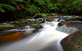 time lapse photography of river