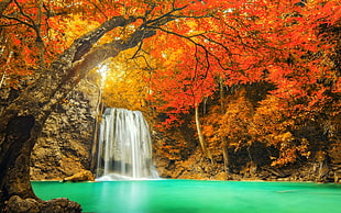 waterfall near orange leaf tree digital wallpaper HD wallpaper