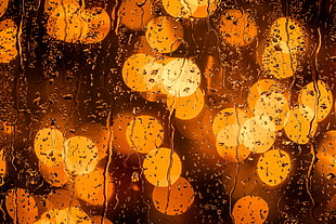 Glass,  Drops,  Glare,  Close-up HD wallpaper