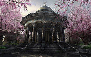 gray dome gazebo beside cherry blossom trees HD wallpaper