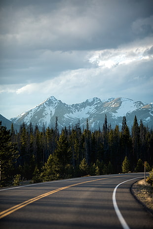 green trees, nature, trees, snow, mountains