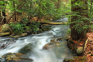 time lapse photography of waterfalls