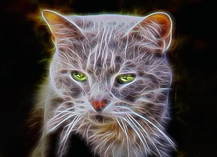 short furred gray cat illustration