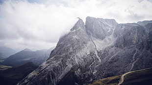 gray mountain, forest, trees, nature