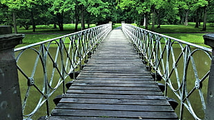 empty pathway with gray metal fence HD wallpaper